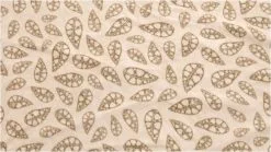 Outwell Nevada 5P Package Deal Navy Night -Camping Zelt Verkaufsgeschäft outwell nevada 5p package deal navy night 1 3